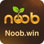Noob Win Casino Game