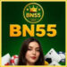 bn55 game